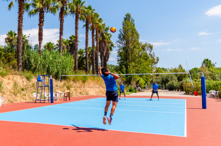 volley-pic